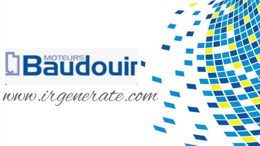 دیزل زنراتور بادورین دیزل زنراتور بادورین